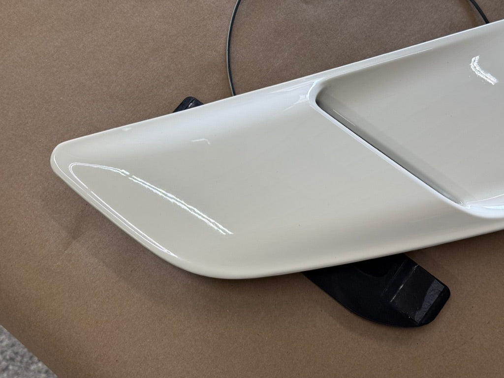 2015-2017 Ford Mustang GT Hood Insert Vents RH LH Pair "N4"