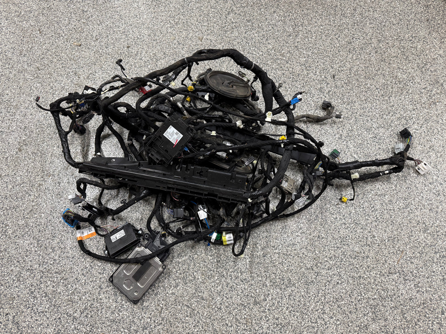 2024-2026 Ford Mustang GT Coupe Body Wiring "PR3T-14A005-CGLB"