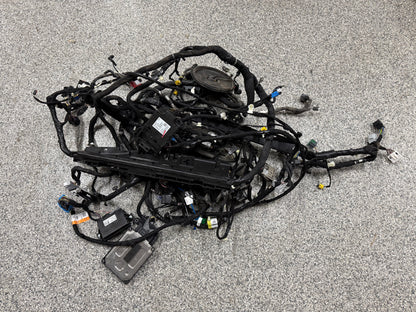 2024-2026 Ford Mustang GT Coupe Body Wiring "PR3T-14A005-CGLB"