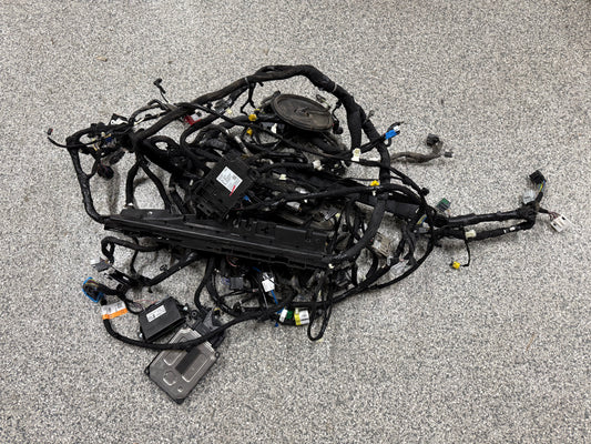 2024-2026 Ford Mustang GT Coupe Body Wiring "PR3T-14A005-CGLB"
