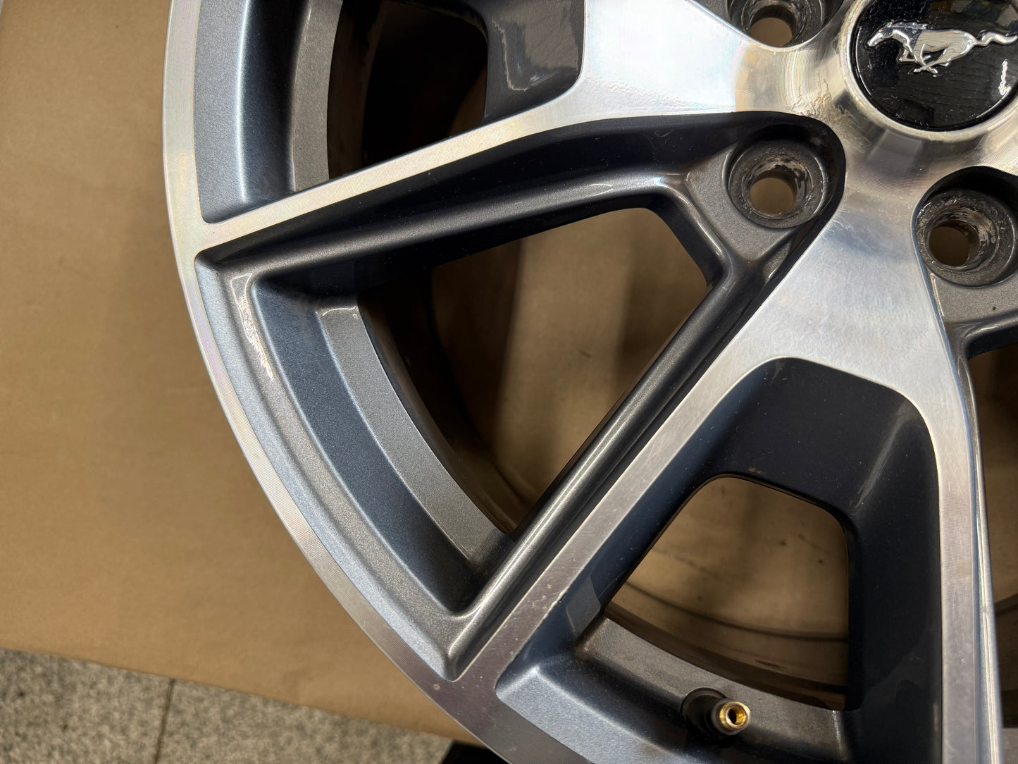 2015-2023 Ford Mustang GT 5.0 19x9" Wheel Rim 50th Anniversary