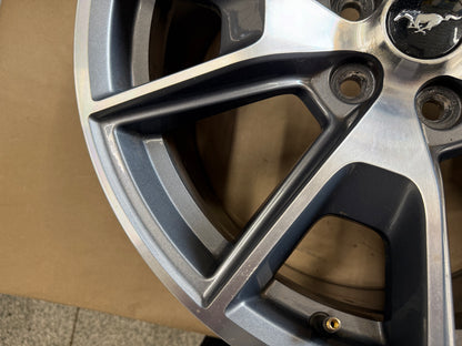 2015-2023 Ford Mustang GT 5.0 19x9" Wheel Rim 50th Anniversary