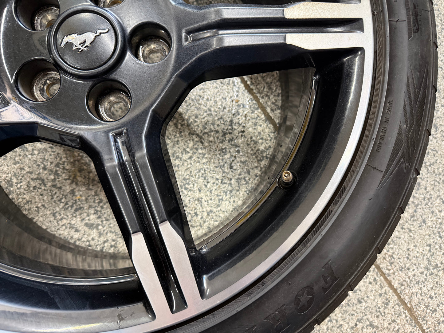 2015-2023 Ford Mustang California Special 19x8.5" Wheel Rim 255/40/19 Fortune
