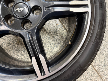 2015-2023 Ford Mustang California Special 19x8.5" Wheel Rim 255/40/19 Fortune