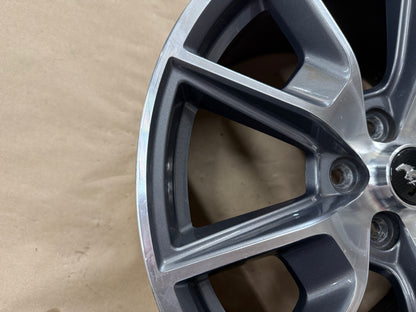 2015-2023 Ford Mustang GT 5.0 19x9.5" Wheel Rim 50th Anniversary