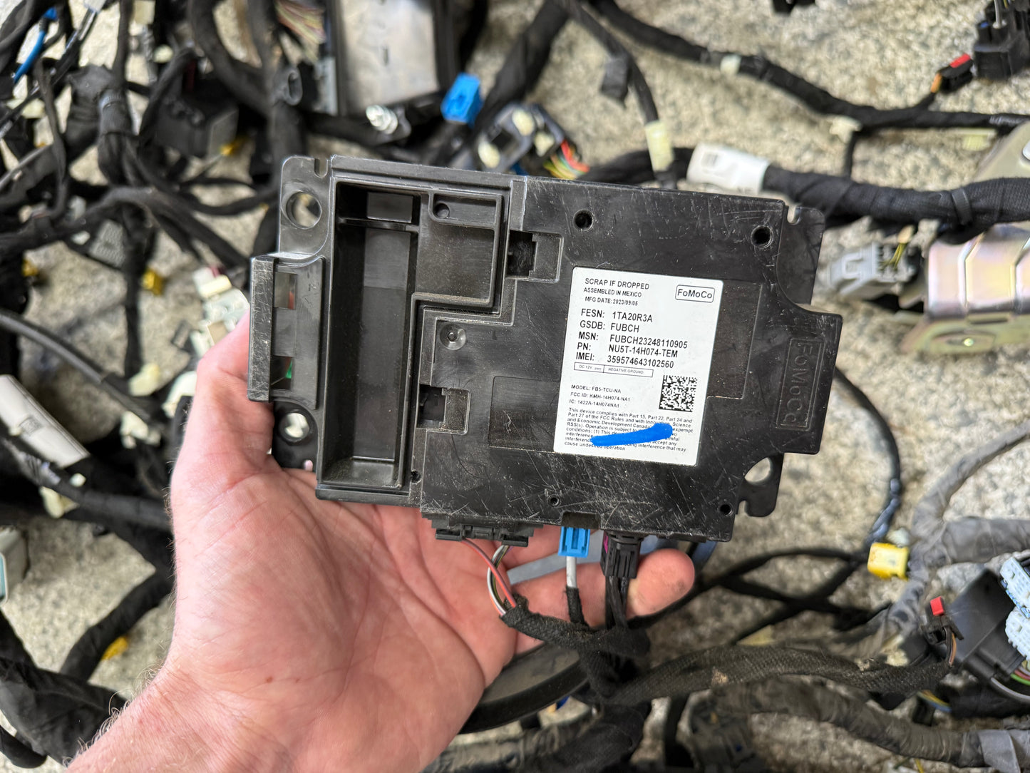2024-2026 Ford Mustang GT Coupe Body Wiring "PR3T-14A005-DAAE"
