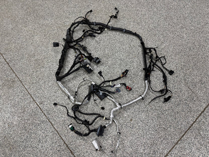 2024-2026 Ford Mustang GT 5.0L Engine Bay Wiring Harness "Automatic"