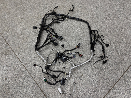 2024-2026 Ford Mustang GT 5.0L Engine Bay Wiring Harness "Automatic"