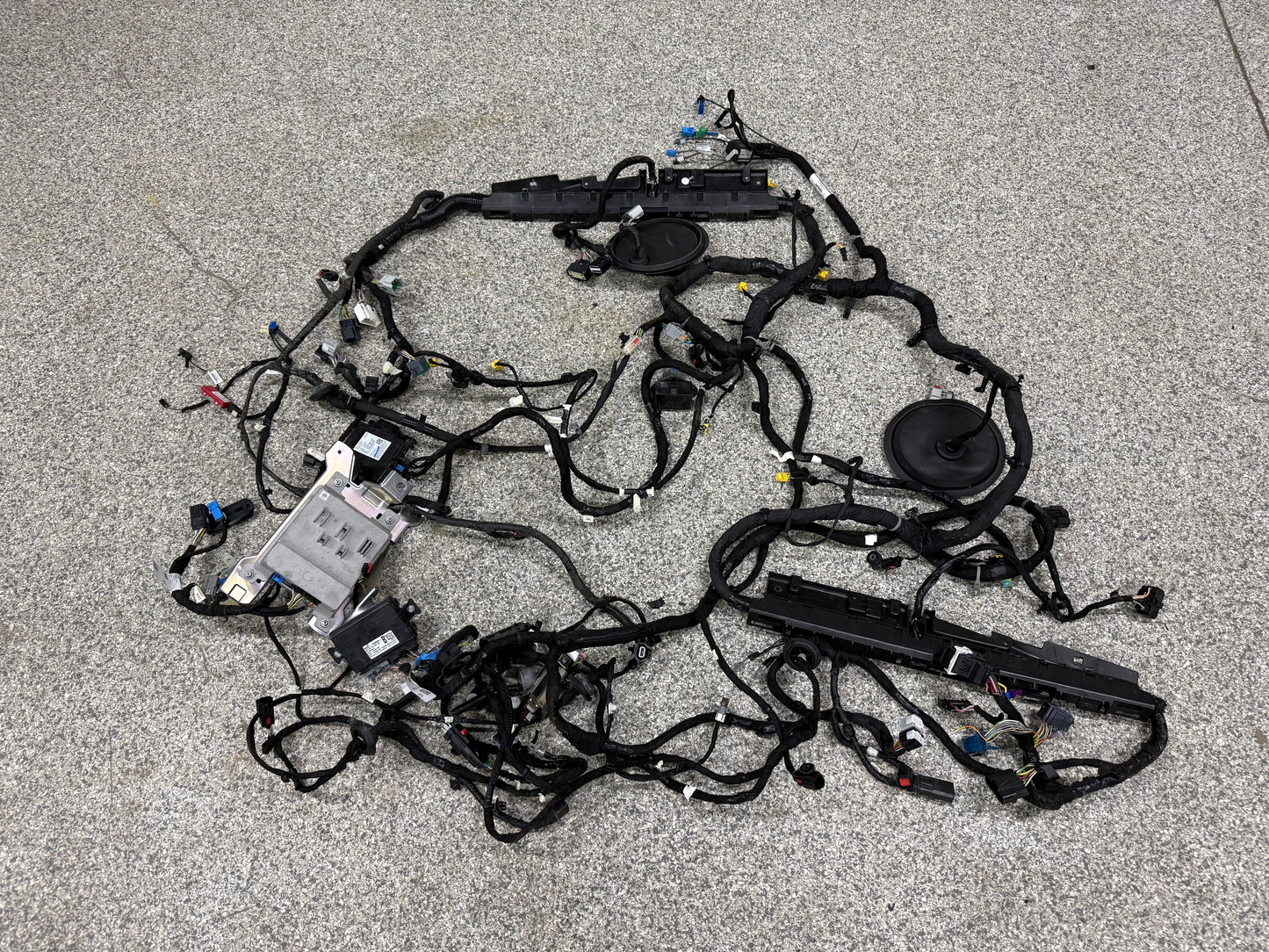 2024-2026 Ford Mustang GT Coupe Body Wiring "PR3T-14A005-CBLB"