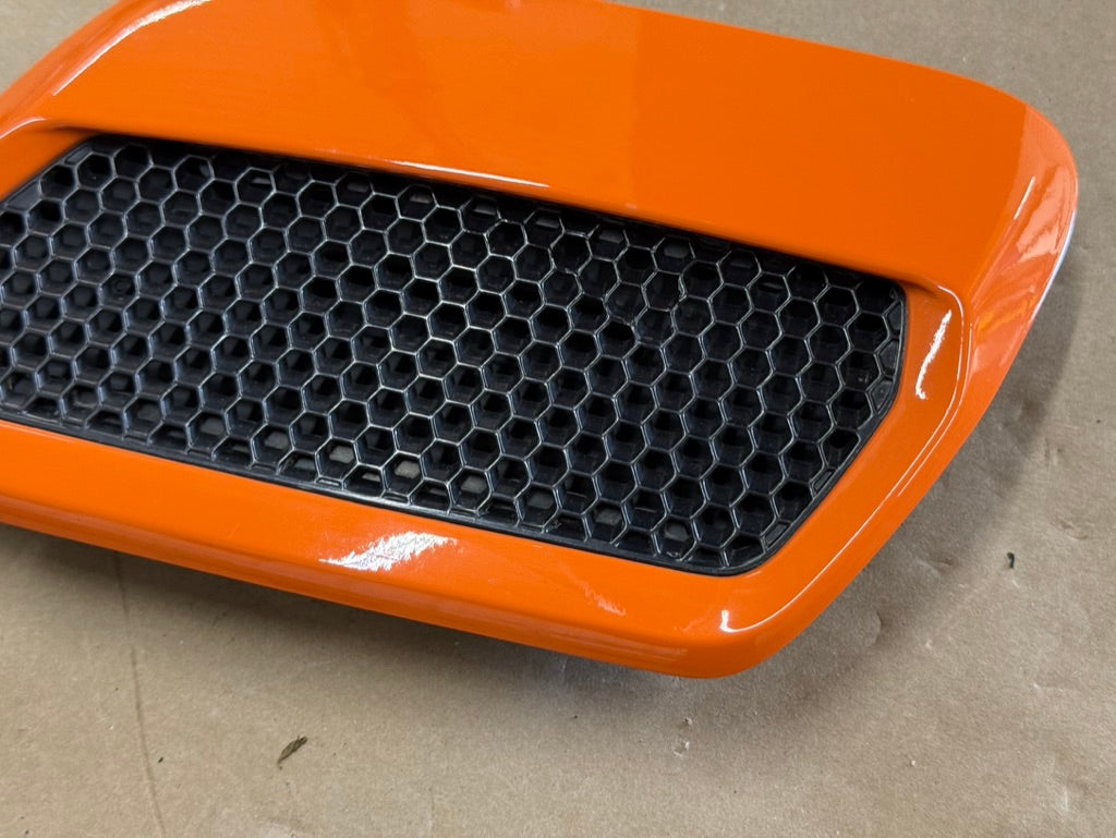 2018-2023 Ford Mustang GT 5.0 Hood Insert Vents RH LH Pair "CA"