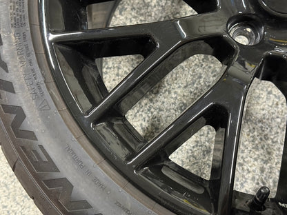 2015-2023 Mustang GT 5.0 19x9.5" Wheel Rim PP1 Rear 275/40/19 Continental