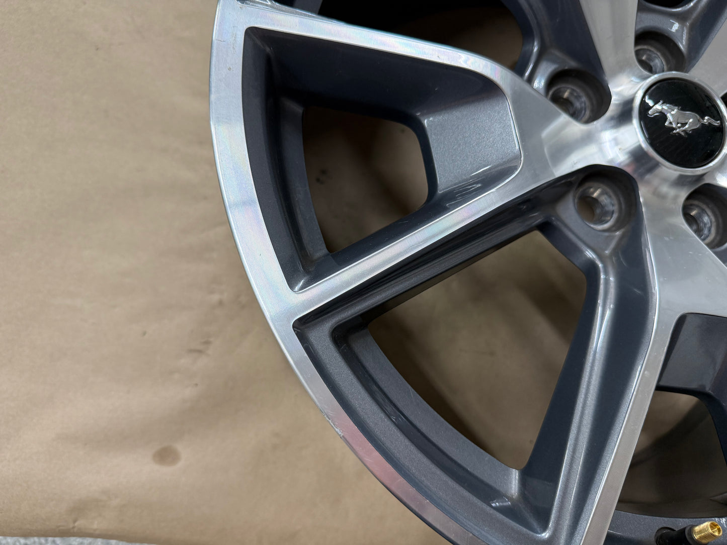 2015-2023 Ford Mustang GT 5.0 19x9" Wheel Rim 50th Anniversary