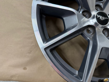 2015-2023 Ford Mustang GT 5.0 19x9" Wheel Rim 50th Anniversary