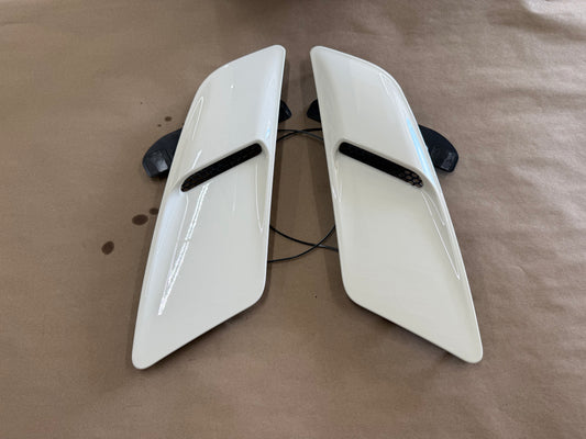 2015-2017 Ford Mustang GT Hood Insert Vents RH LH Pair "N4"