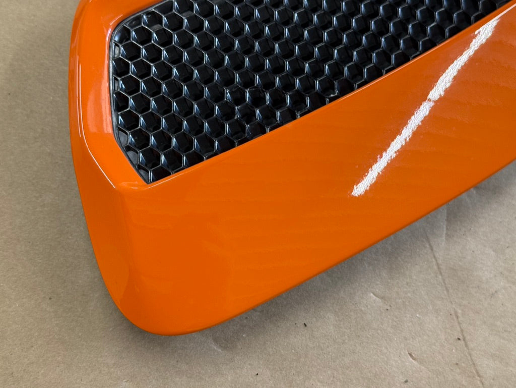 2018-2023 Ford Mustang GT 5.0 Hood Insert Vents RH LH Pair "CA"