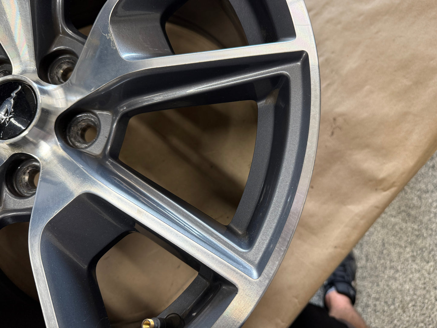 2015-2023 Ford Mustang GT 5.0 19x9" Wheel Rim 50th Anniversary