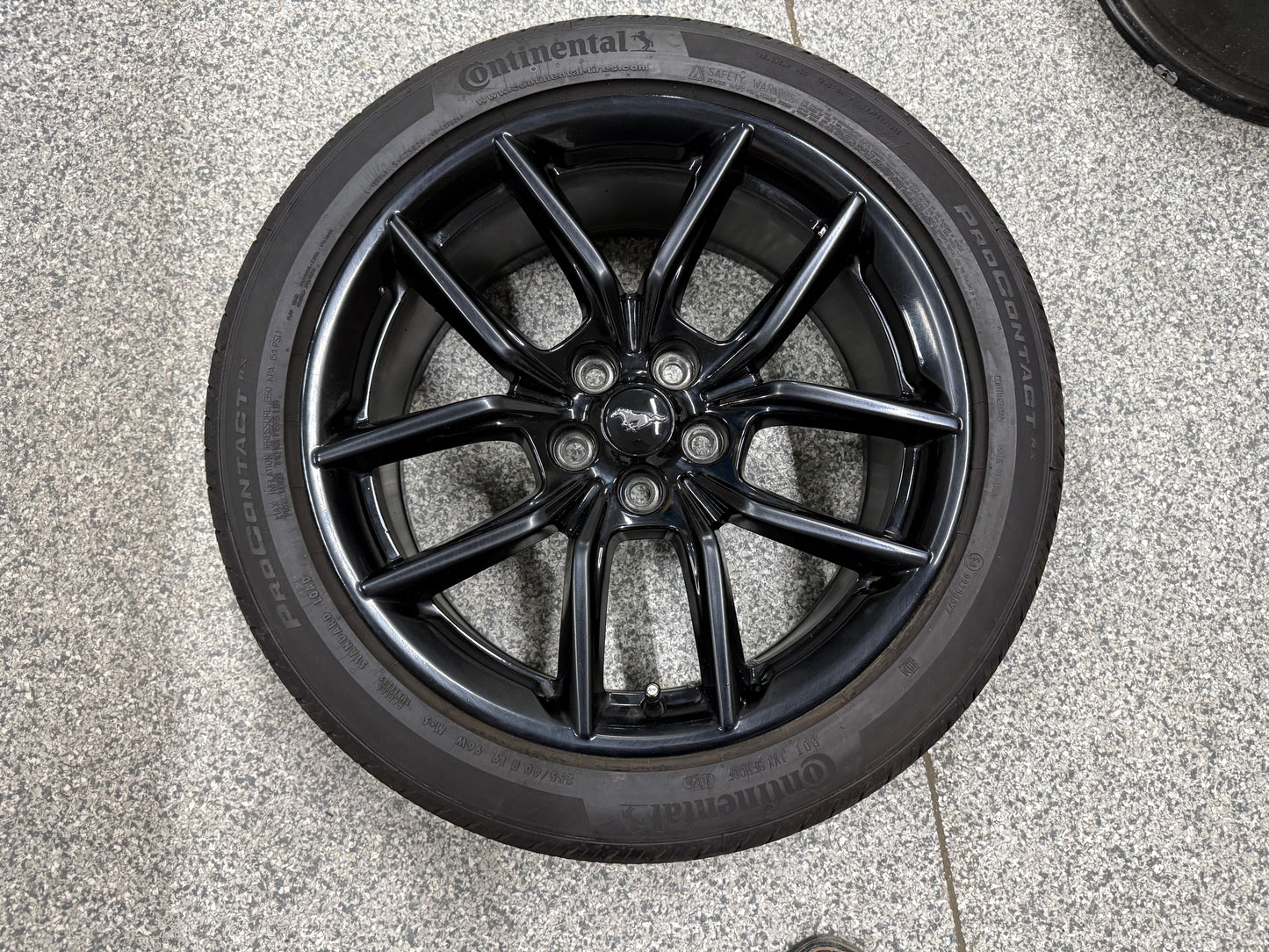 2024-2026 Ford Mustang GT 5.0 19x8.5" Wheel Rim Continental 255/40/19
