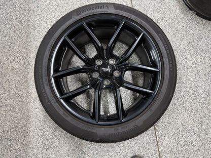 2024-2026 Ford Mustang GT 5.0 19x8.5" Wheel Rim Continental 255/40/19
