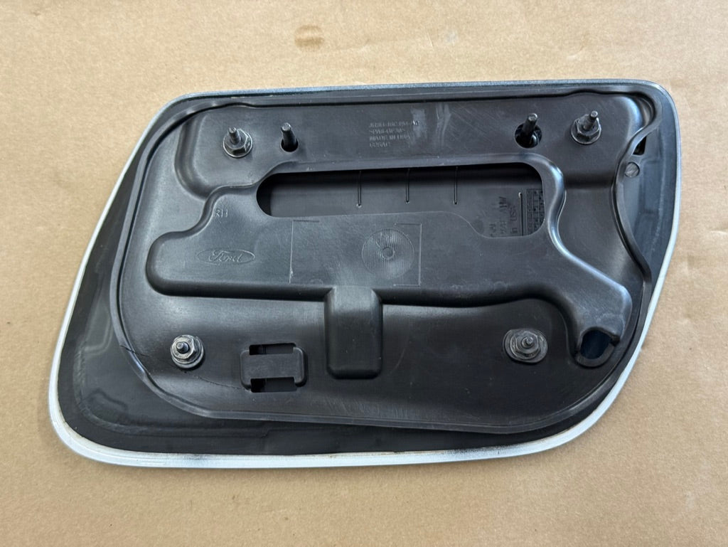 2018-2023 Ford Mustang GT 5.0 Hood Insert Vents RH LH Pair "YZ"