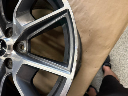 2015-2023 Ford Mustang GT 5.0 19x9" Wheel Rim 50th Anniversary