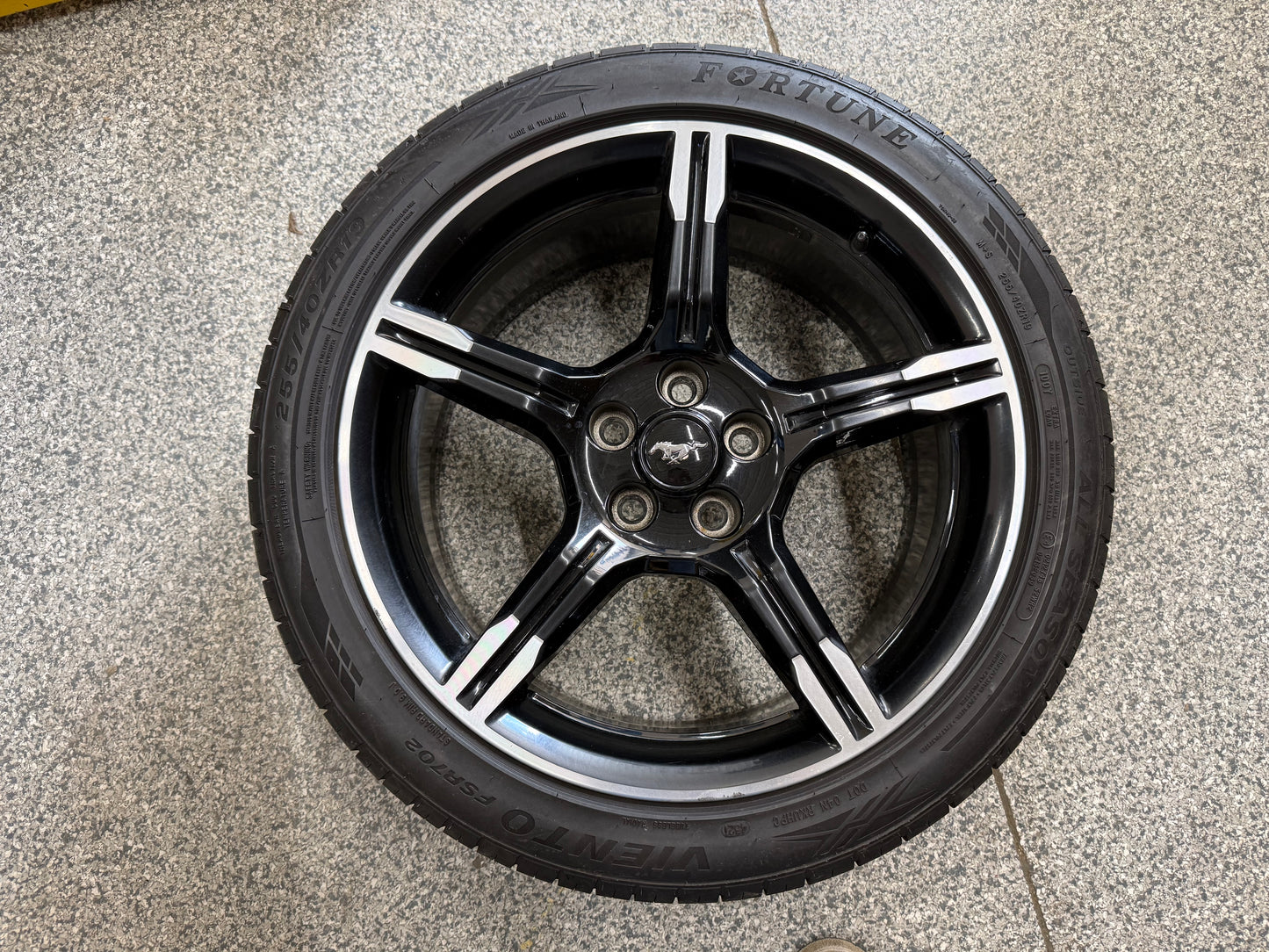 2015-2023 Ford Mustang California Special 19x8.5" Wheel Rim 255/40/19 Fortune