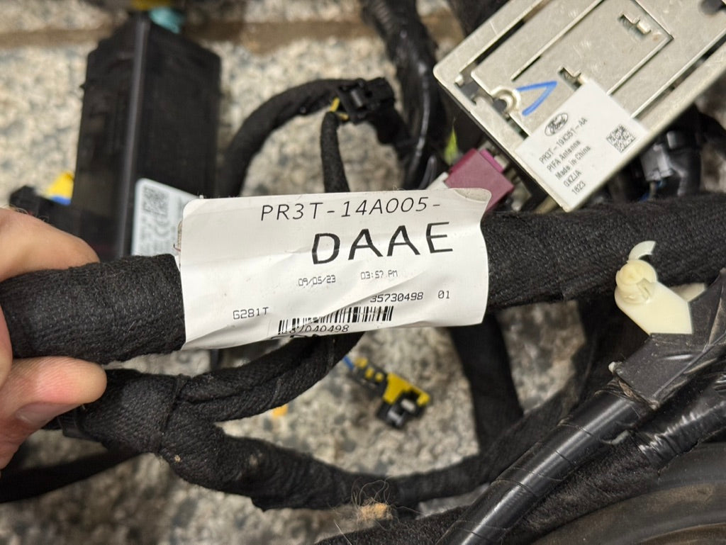 2024-2026 Ford Mustang GT Coupe Body Wiring "PR3T-14A005-DAAE"