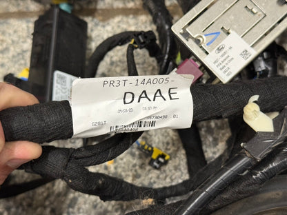 2024-2026 Ford Mustang GT Coupe Body Wiring "PR3T-14A005-DAAE"