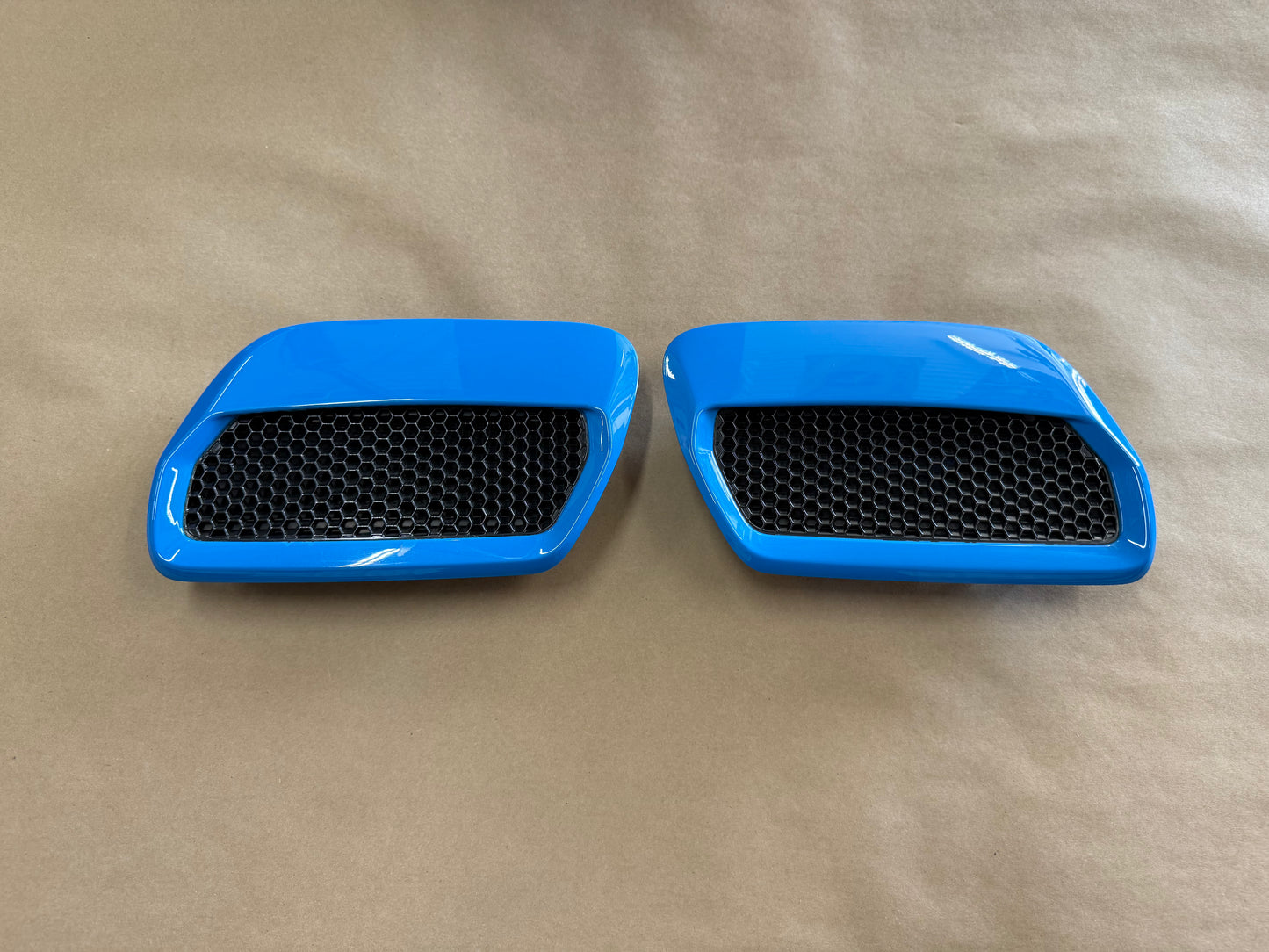 2018-2023 Ford Mustang GT 5.0 Hood Insert Vents RH LH Pair "AE"