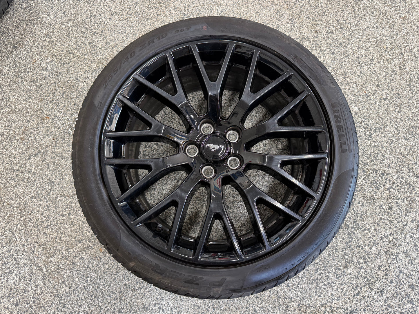 2015-2023 Mustang GT 5.0 19x9" Wheel Rim PP1 Rear 255/40/19 Pirelli