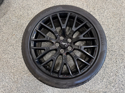 2015-2023 Mustang GT 5.0 19x9" Wheel Rim PP1 Rear 255/40/19 Pirelli