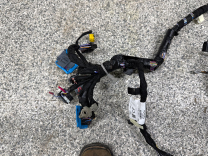 2024-2026 Ford Mustang GT Dash Wiring Harness "PR3T-14401-CF"