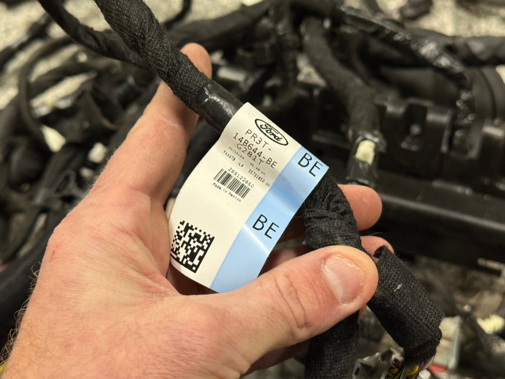 2024-2026 Ford Mustang GT Coupe Body Wiring "PR3T-14A005-CGLB"