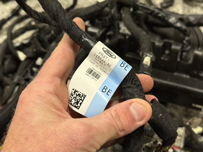 2024-2026 Ford Mustang GT Coupe Body Wiring "PR3T-14A005-CGLB"