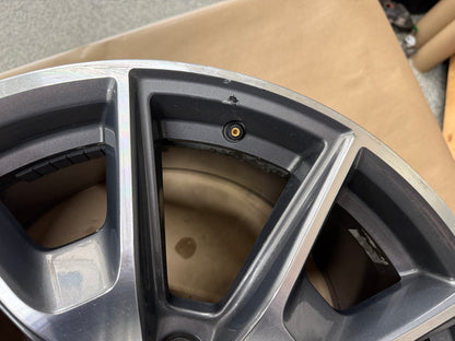2015-2023 Ford Mustang GT 5.0 19x9.5" Wheel Rim 50th Anniversary