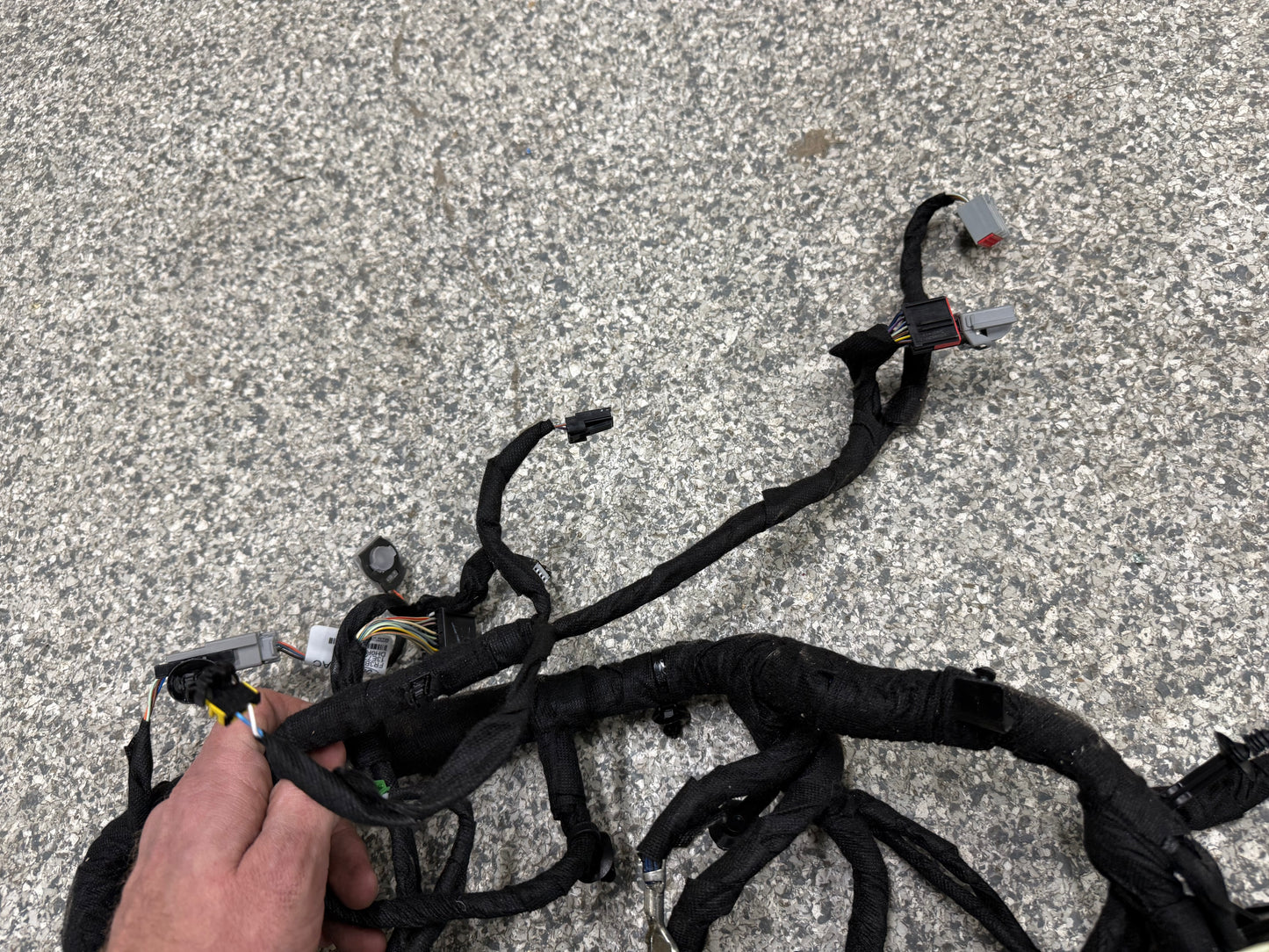 2024-2026 Ford Mustang GT Dash Wiring Harness "PR3T-14401-CF"