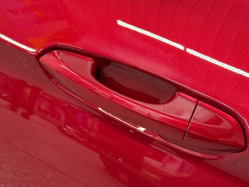 2015-2023 Ford Mustang GT GT500 LH Driver Side Door Complete w/Glass "D4"