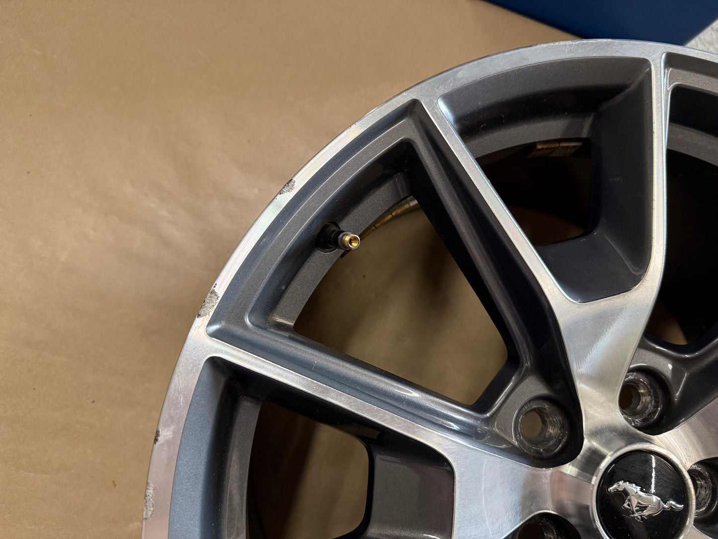 2015-2023 Ford Mustang GT 5.0 19x9.5" Wheel Rim 50th Anniversary