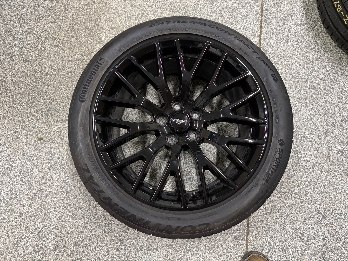 2015-2023 Mustang GT 5.0 19x9.5" Wheel Rim PP1 Rear 275/40/19 Continental
