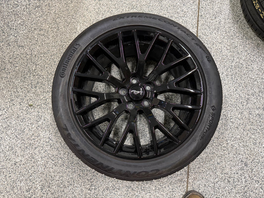 2015-2023 Mustang GT 5.0 19x9.5" Wheel Rim PP1 Rear 275/40/19 Continental