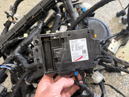 2024-2026 Ford Mustang GT Coupe Body Wiring "PR3T-14A005-LAAE"