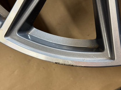 2015-2023 Ford Mustang GT 5.0 19x9" Wheel Rim 50th Anniversary
