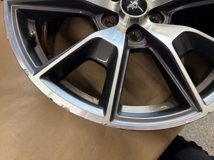 2015-2023 Ford Mustang GT 5.0 19x9.5" Wheel Rim 50th Anniversary