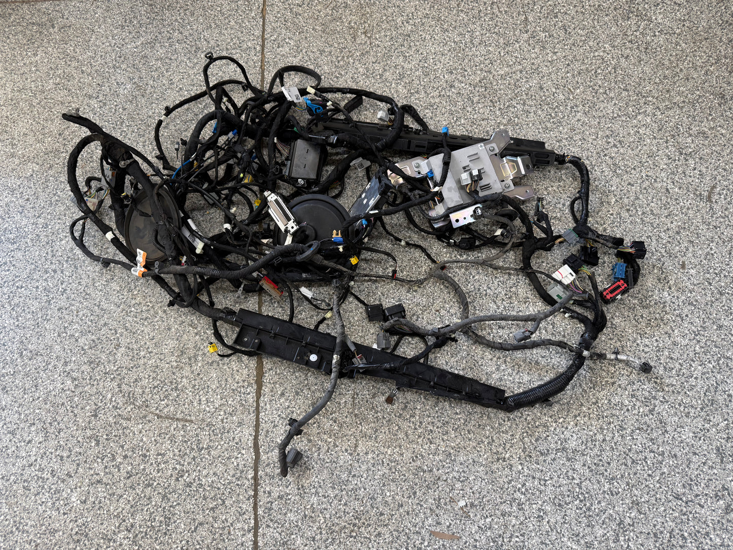 2024-2026 Ford Mustang GT Coupe Body Wiring "PR3T-14A005-DAAE"