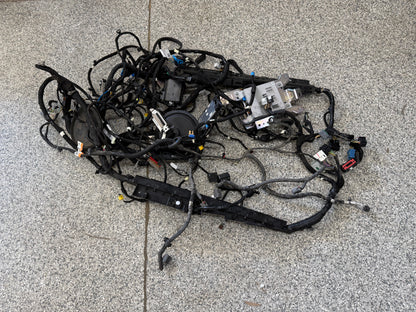 2024-2026 Ford Mustang GT Coupe Body Wiring "PR3T-14A005-DAAE"