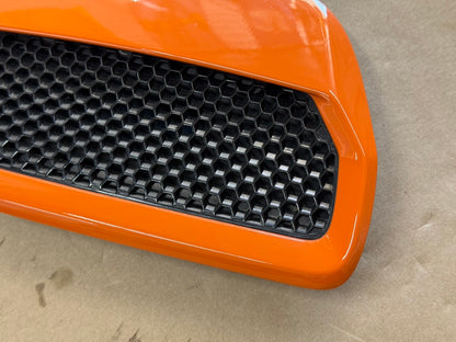 2018-2023 Ford Mustang GT 5.0 Hood Insert Vents RH LH Pair "CA"