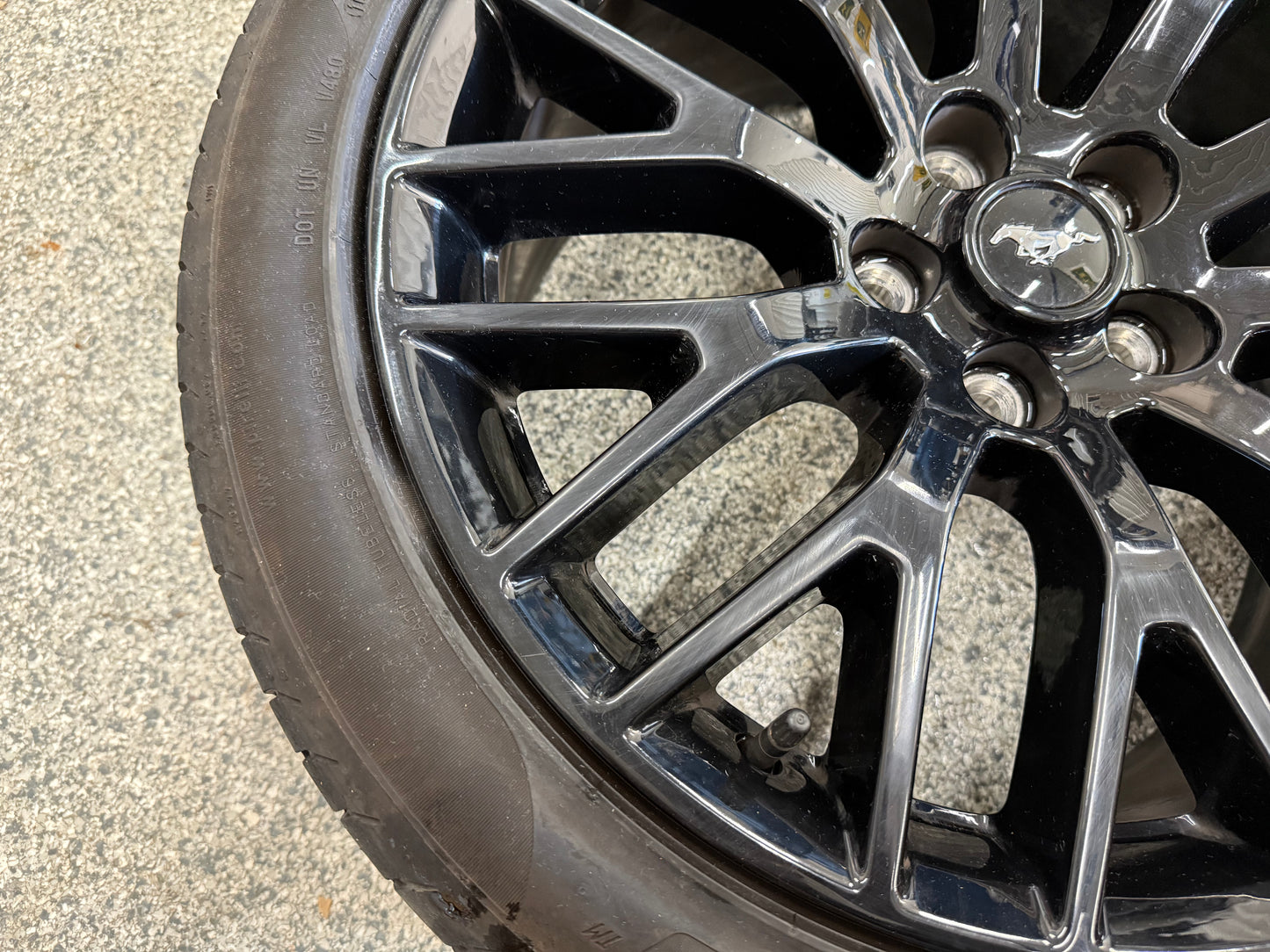2015-2023 Mustang GT 5.0 19x9" Wheel Rim PP1 Rear 255/40/19 Pirelli