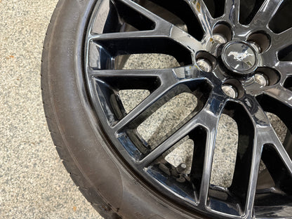 2015-2023 Mustang GT 5.0 19x9" Wheel Rim PP1 Rear 255/40/19 Pirelli