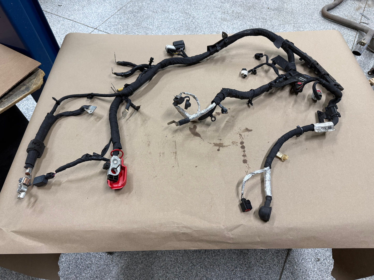 2024-2026 Ford Mustang GT 5.0L Battery Alternator Starter Wiring Harness "Auto"
