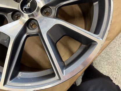 2015-2023 Ford Mustang GT 5.0 19x9" Wheel Rim 50th Anniversary
