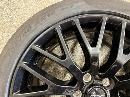2015-2023 Mustang GT 5.0 19x9" Wheel Rim PP1 Rear 255/40/19 Pirelli